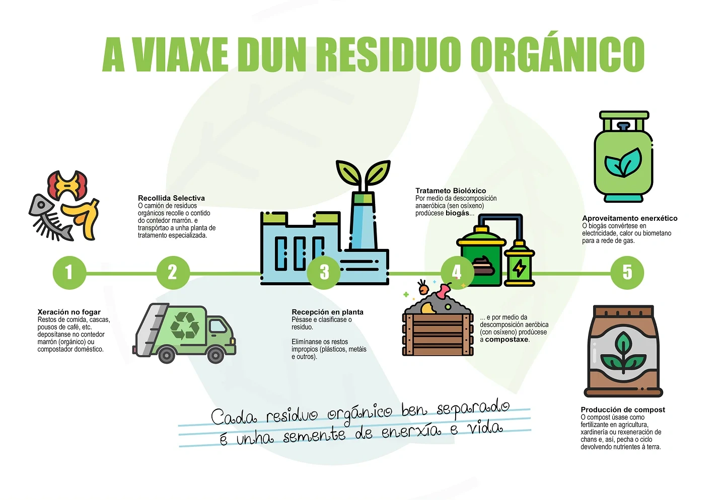 A viaxe dun residuo orgánico - Proceso de reciclaje